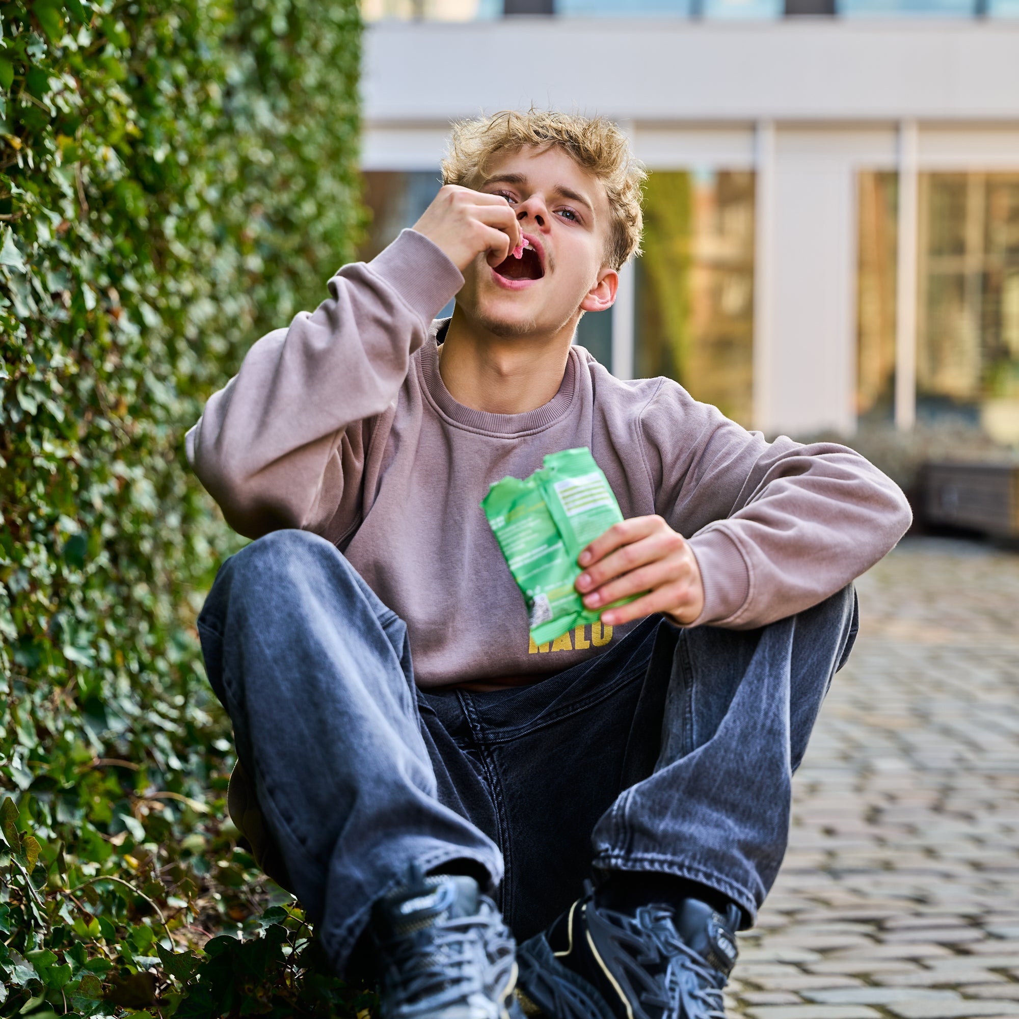 Höhle der Löwen Bundle (12 Beutel)